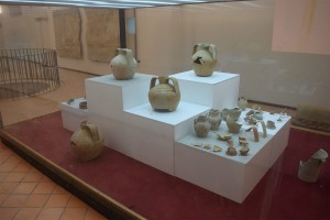 museo 7